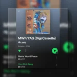 Cover art digi-cassette spotify